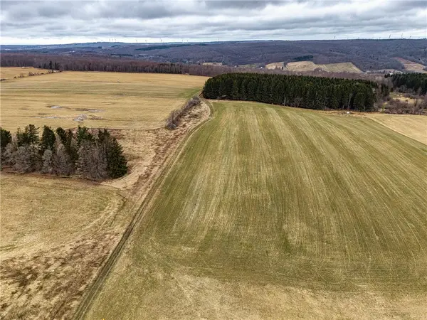 Engdahl Road, Cherry Creek, NY 14723