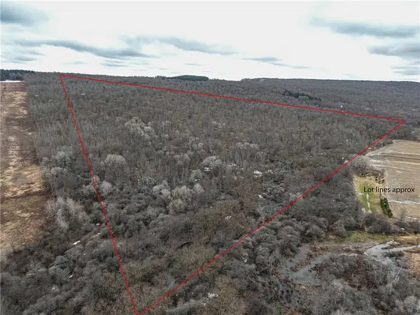 Engdahl Road, Cherry Creek, NY 14723