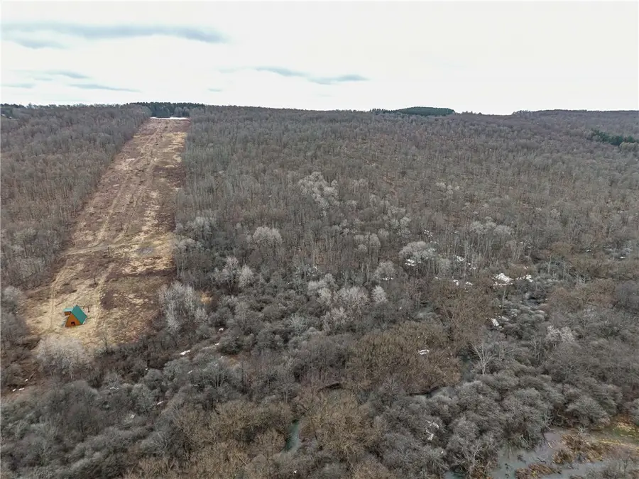 Engdahl Road, Cherry Creek, NY 14723 - #2