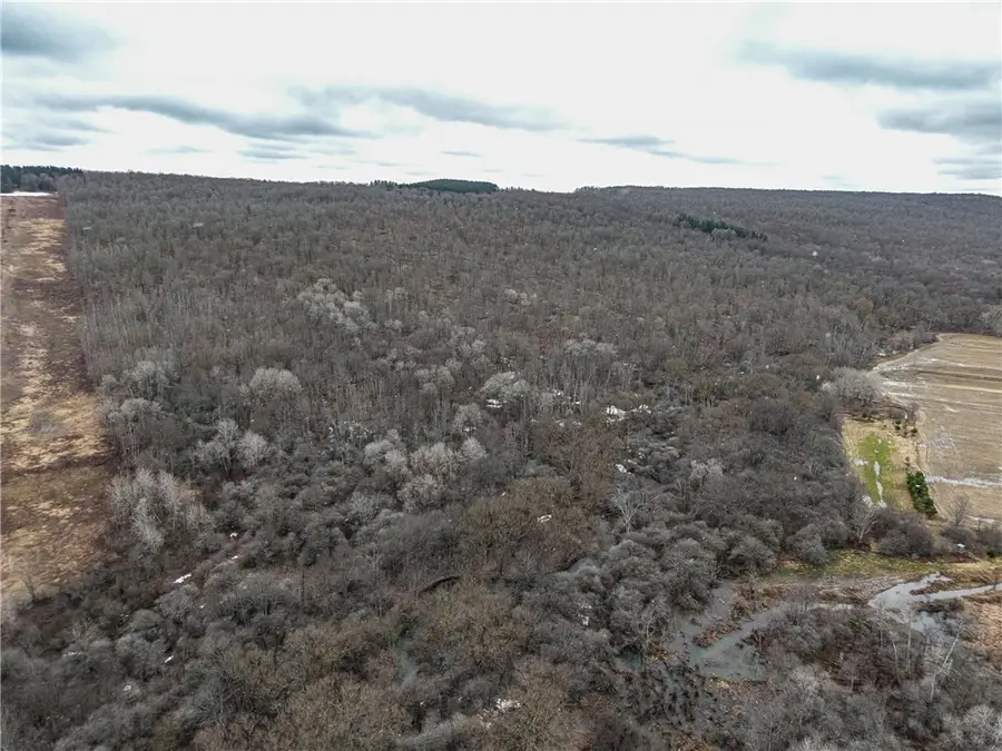 Engdahl Road, Cherry Creek, NY 14723 - #3