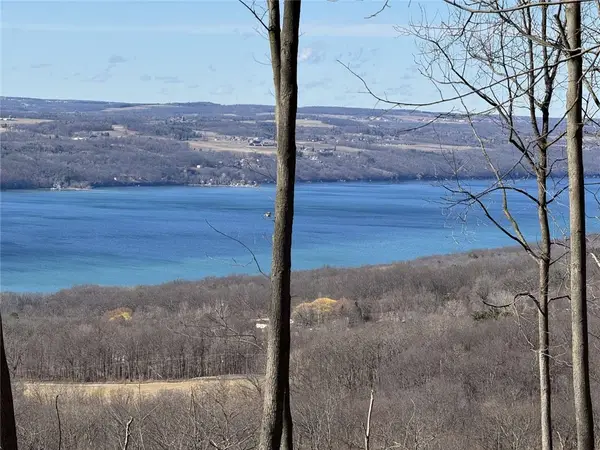 0 Satterly Hill Road, Burdett, NY 14818