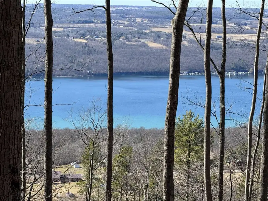 0 Satterly Hill Road, Burdett, NY 14818 - #3