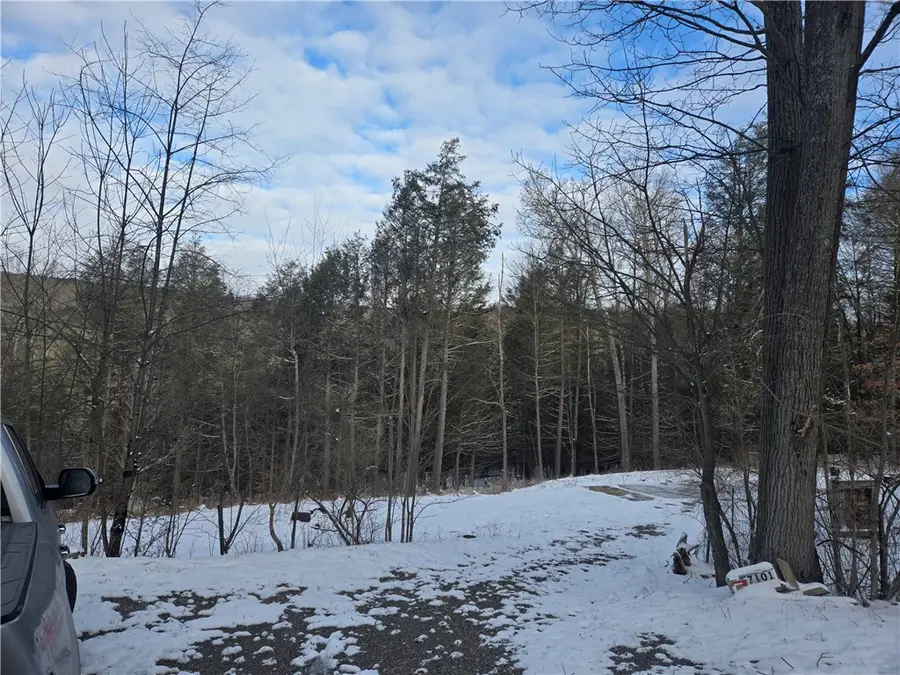 7101 Boot Jack Road, Bath, NY 14810 - #2