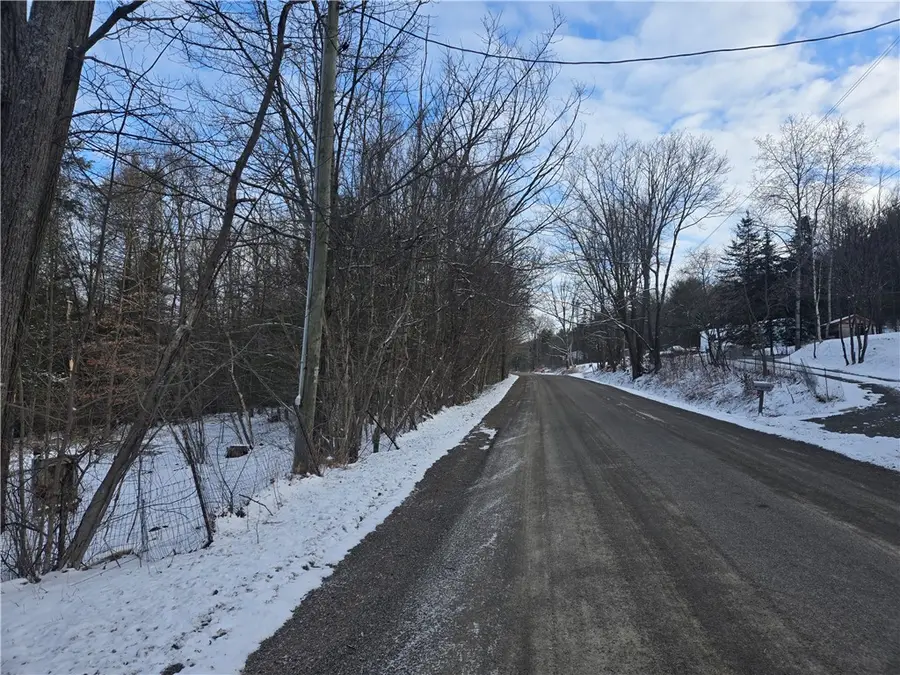 7101 Boot Jack Road, Bath, NY 14810 - #3