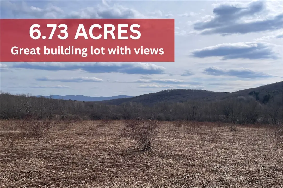 0 Swantak Road, Kortright, NY 13842 - #1