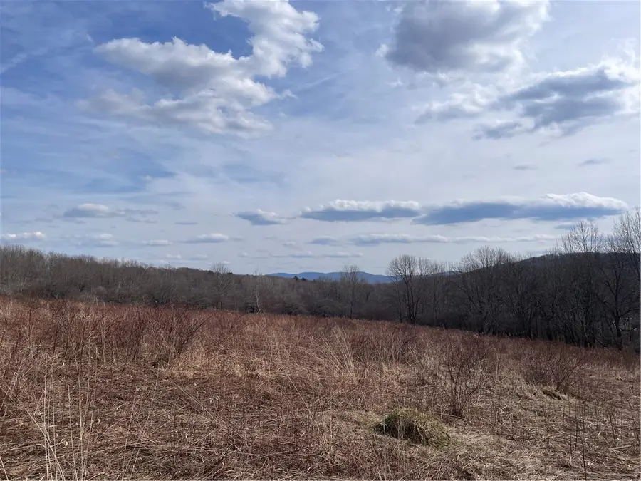 0 Swantak Road, Kortright, NY 13842 - #2