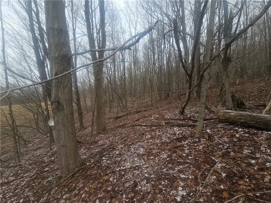 Thornton Road, Cherry Creek, NY 14723 - #3