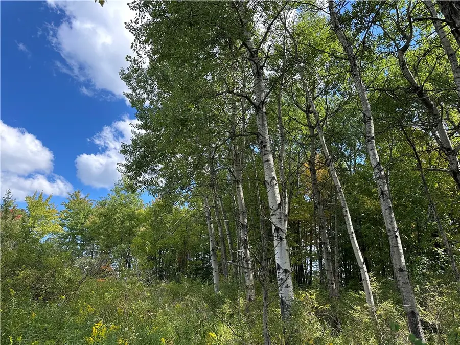 Lot 9 Mcandrews Rd, Andover, NY 14806 - #3