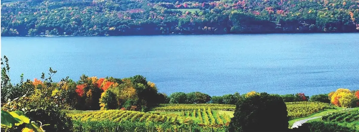 4966 State Route 414, Burdett, NY 14818 - #1