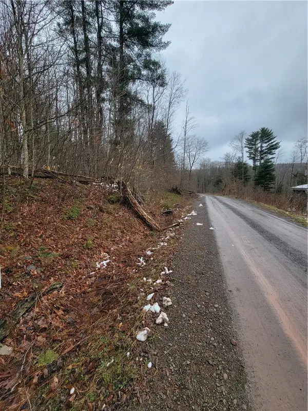 0 Schlafer Road, Guilford, NY 13780