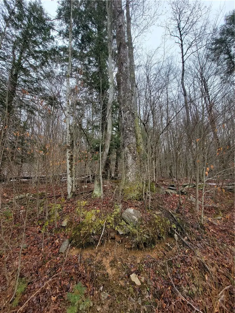 0 Schlafer Road, Guilford, NY 13780 - #2