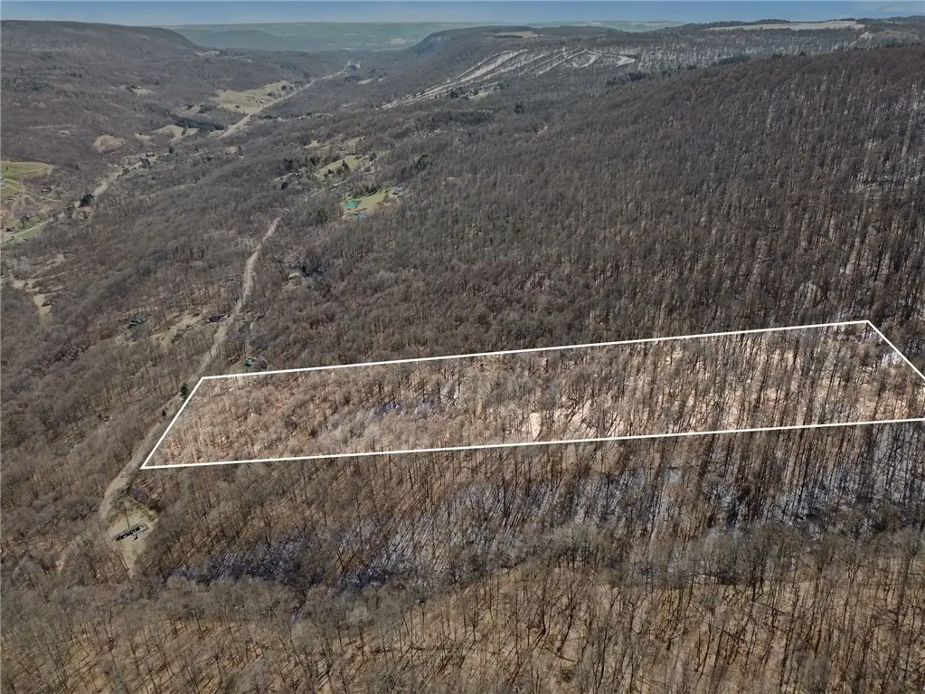 7420 Feather Street, Naples, NY 14512 - #1