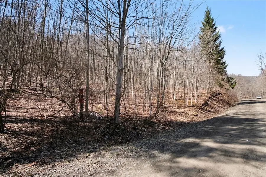 7420 Feather Street, Naples, NY 14512 - #2