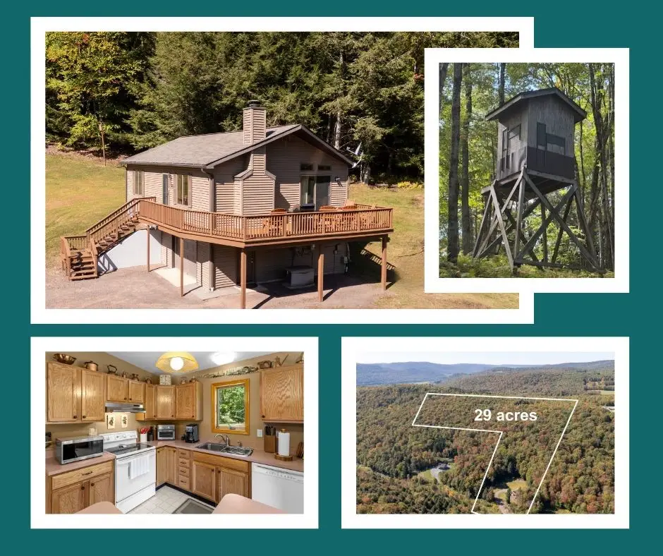 815 Covert Hollow Road, Hamden, NY 13782 - #1