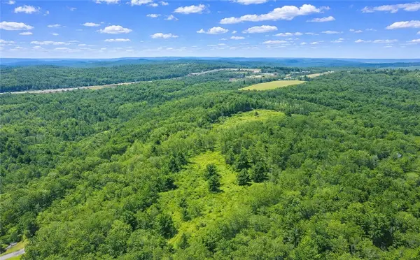 Sam Brown Road, Lockwood, NY 14859