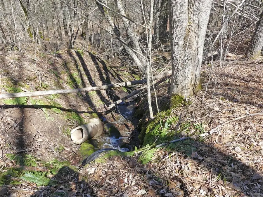 5565 Beech Hill Road, Andes, NY 13731 - #3