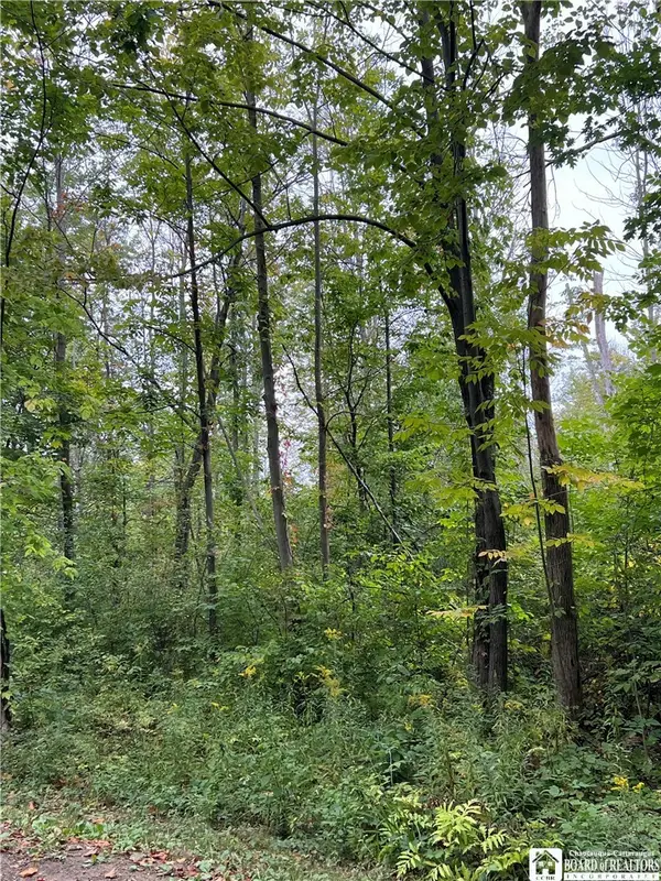 0 Tastor Lane, Fredonia, NY 14063