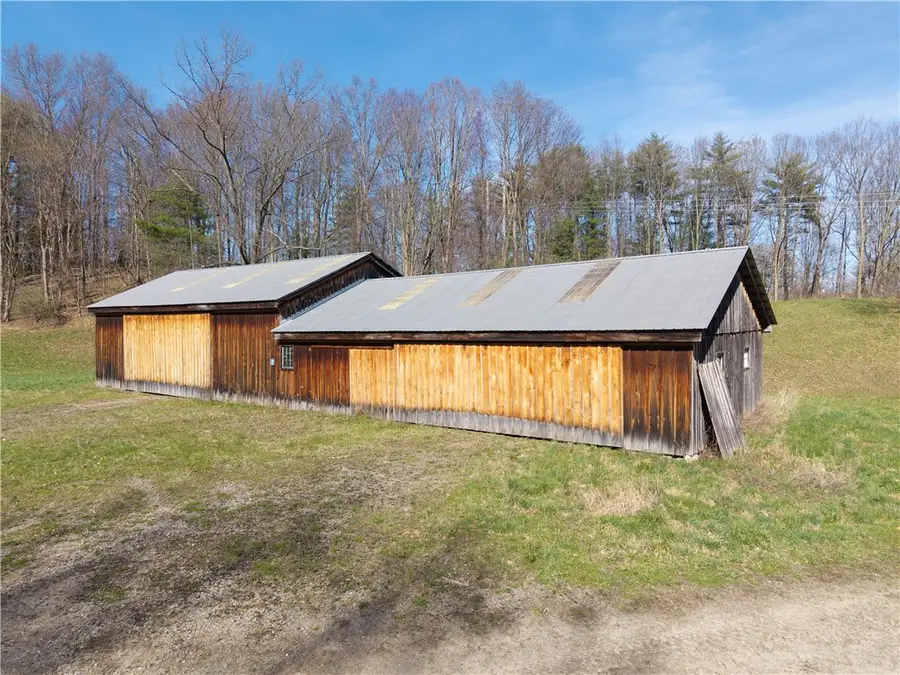 Geiger Road, Dansville, NY 14437 - #3