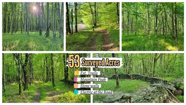 Jim Lane Road, Bovina Center, NY 13740