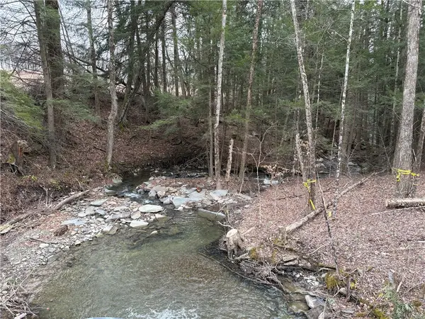 County Road 46 Lower Ravine Road, Norwich, NY 13815