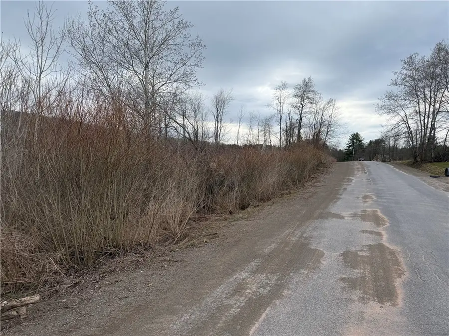 Mary Lynne Lane, Guilford, NY 13780 - #2