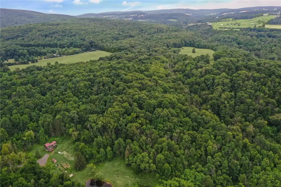 0 Slators Lane, Newfield, NY 14867 - #3