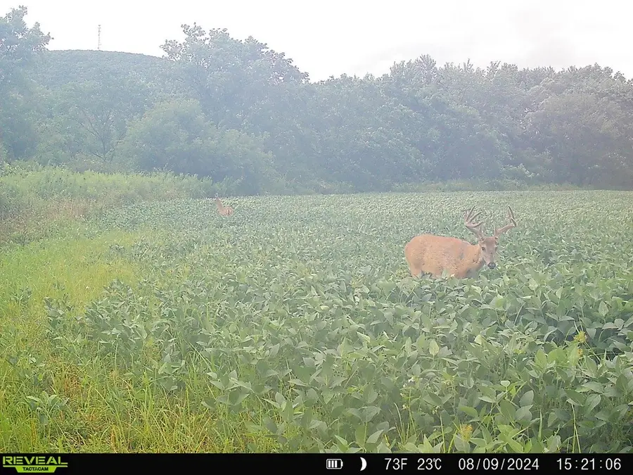 State Highway 23, Oneonta, NY 13820 - #2