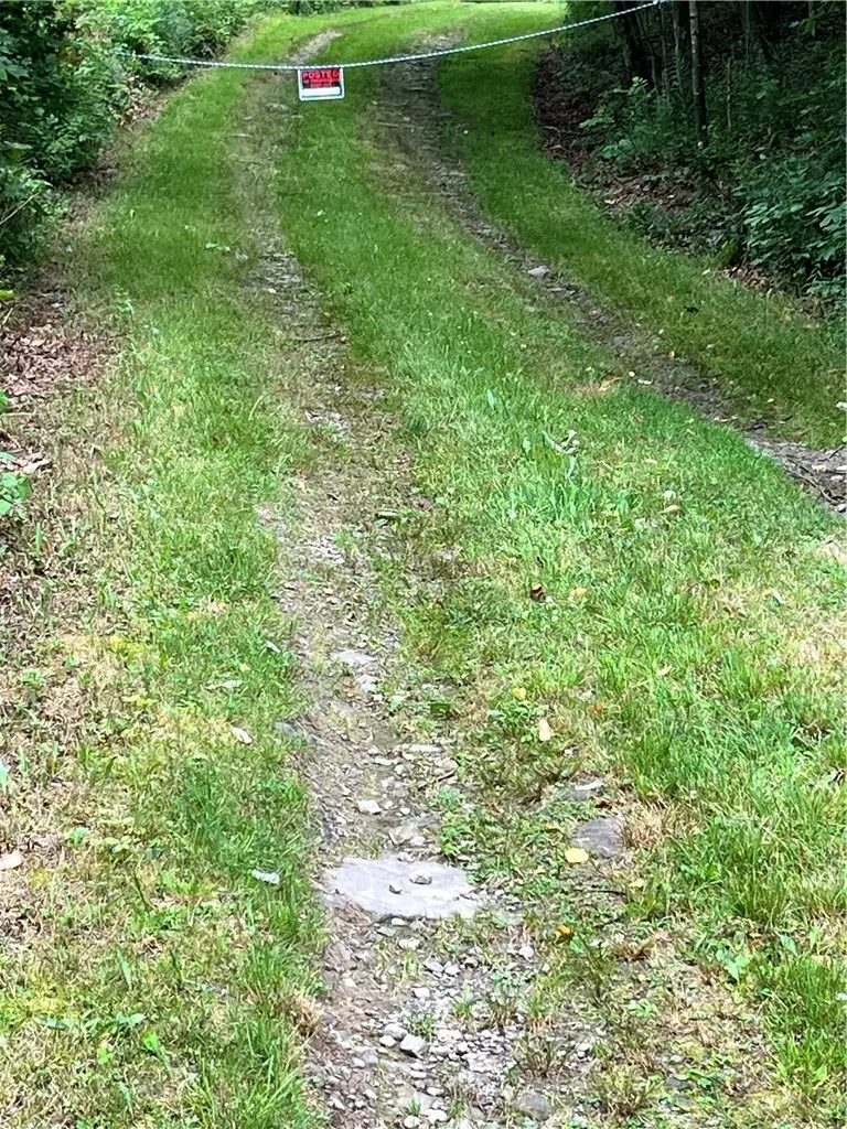 0 Marvin Hollow Road, Walton, NY 13856 - #3