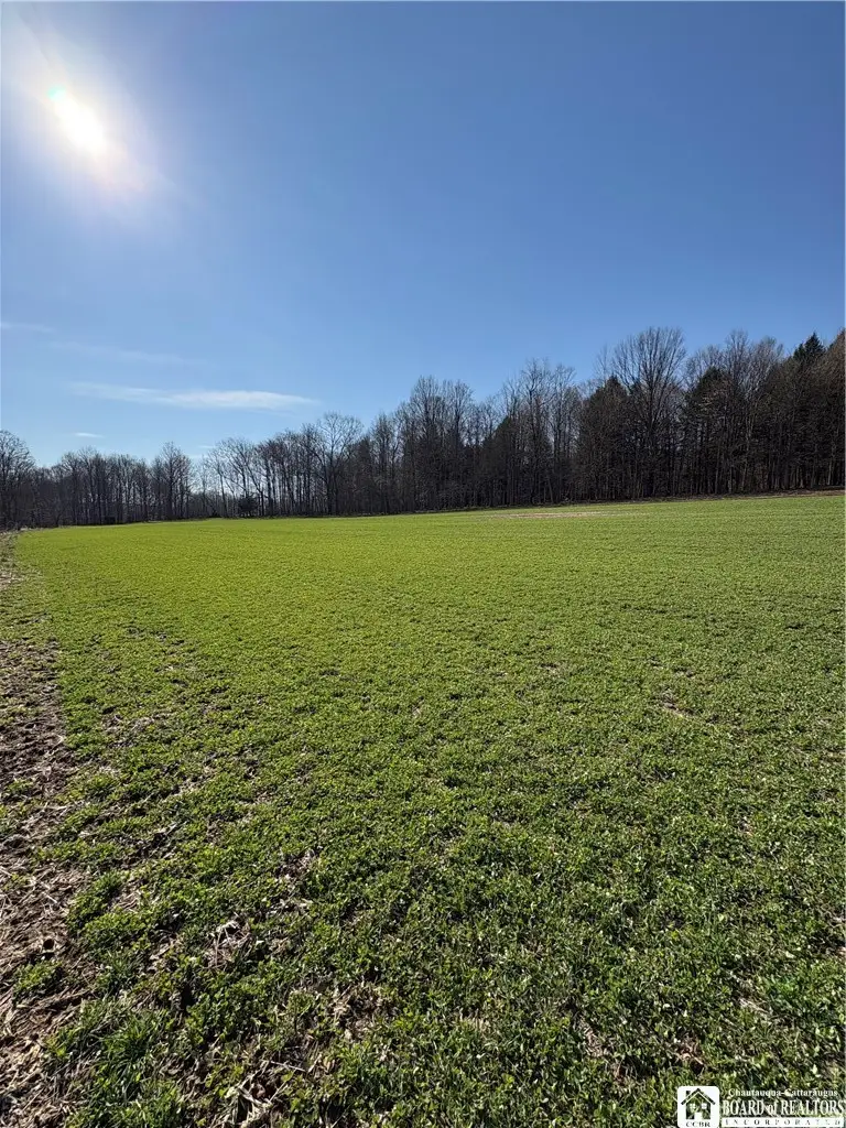 Route 380, Sinclairville, NY 14782 - #2