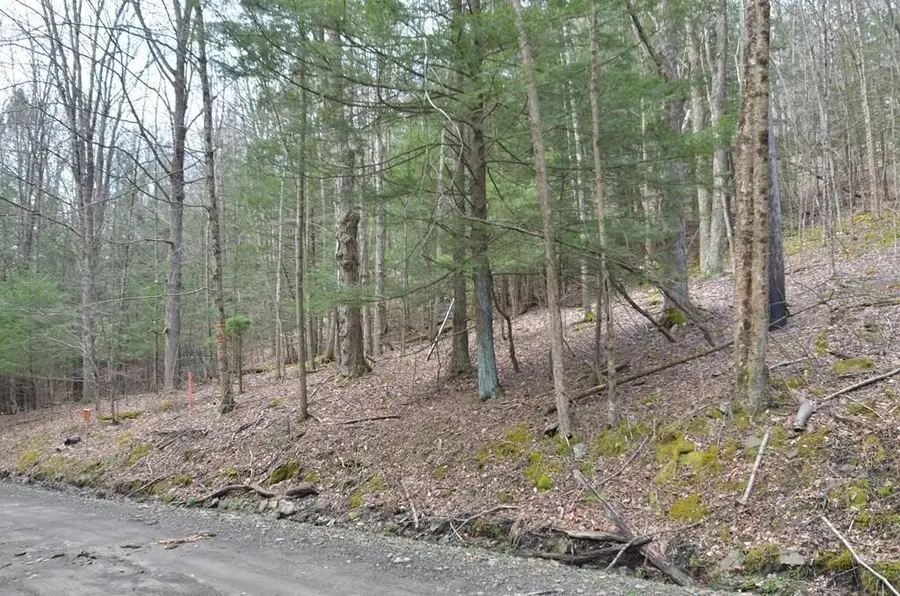 4235 Bellinger Hollow Road, Corning, NY 14830 - #3