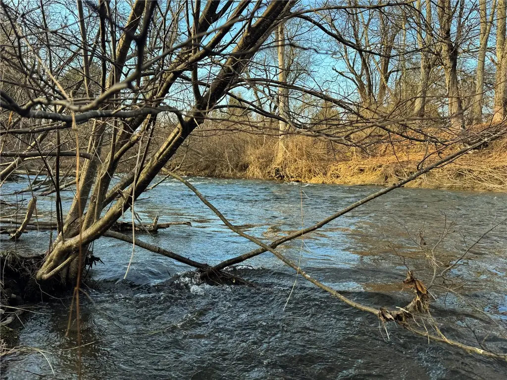 County Highway 16, Burlington Flats, NY 13315 - #1