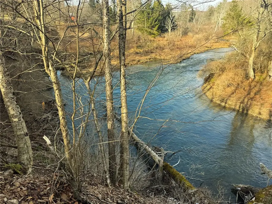 County Highway 16, Burlington Flats, NY 13315 - #3