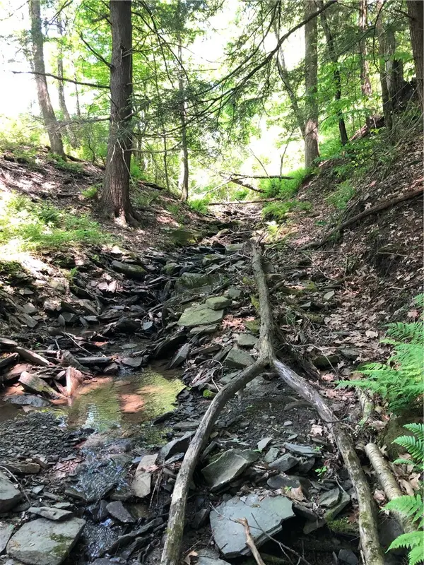 Dingman Hill Road, Bainbridge, NY 13733