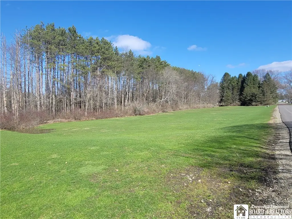 Cherry Street, Frewsburg, NY 14738 - #1