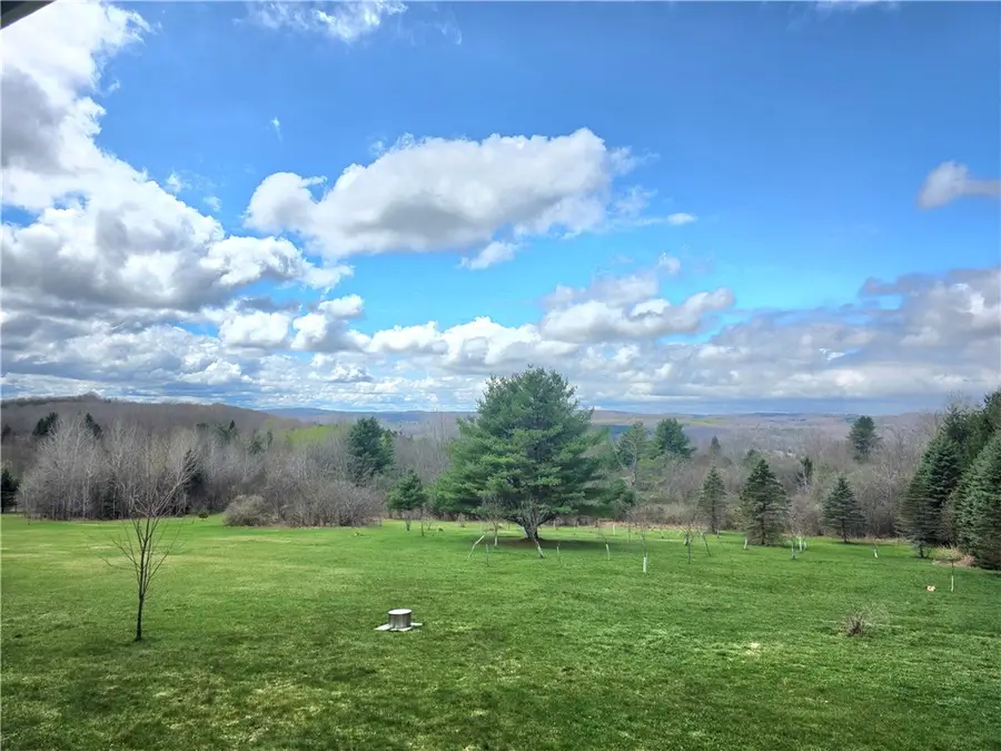 257 Nersesian Road, Hartwick, NY 13348 - #2