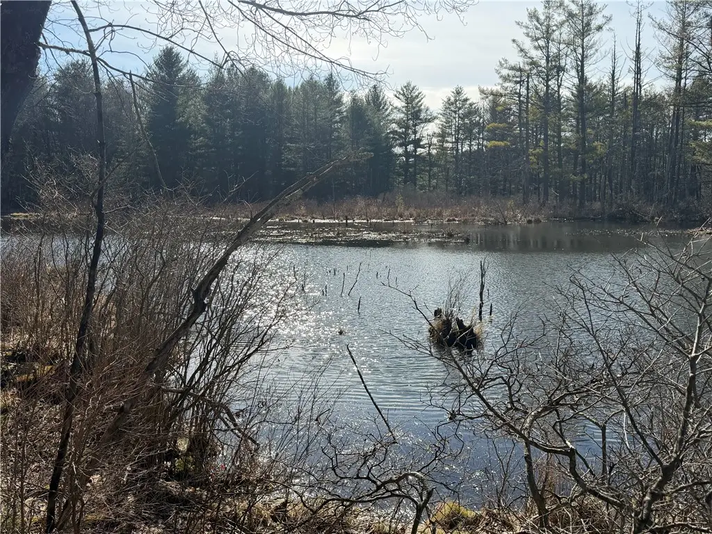 Hattie Clark Road, Greene, NY 13778 - #1