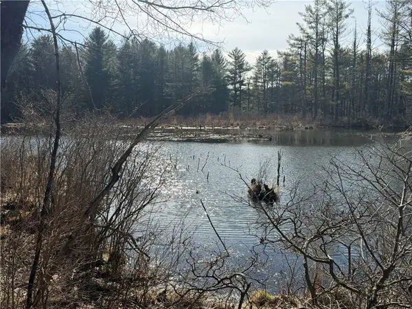 Hattie Clark Road, Greene, NY 13778