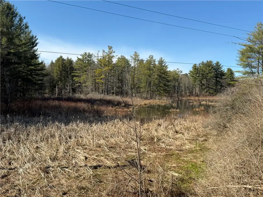 Hattie Clark Road, Greene, NY 13778 - #3