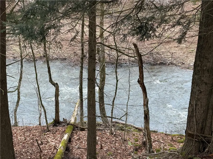 317 County Road 8, McDonough, NY 13801 - #2