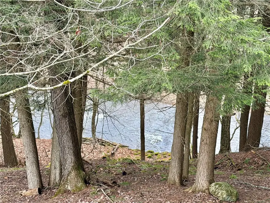 317 County Road 8, McDonough, NY 13801 - #3