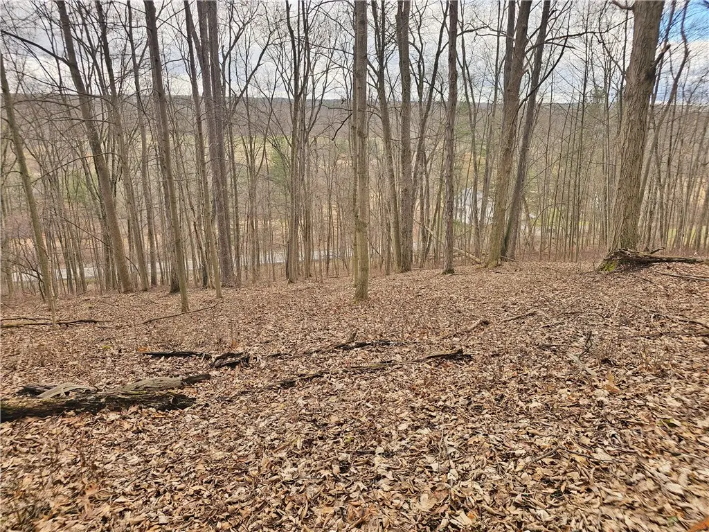 2130 Guyanoga Road, Penn Yan, NY 14527 - #1