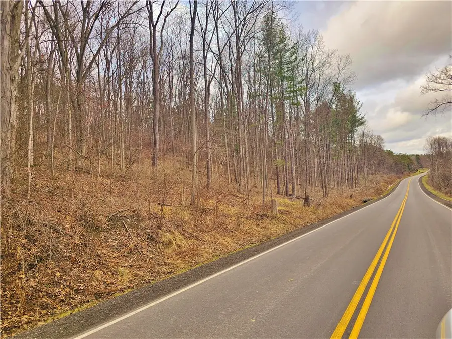 2130 Guyanoga Road, Penn Yan, NY 14527 - #3