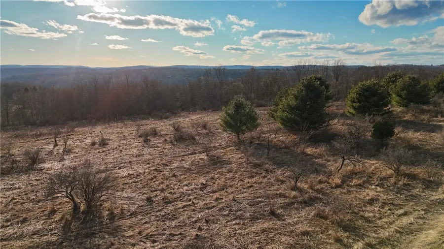 1015 Langford Creek Road, Van Etten, NY 14889 - #2