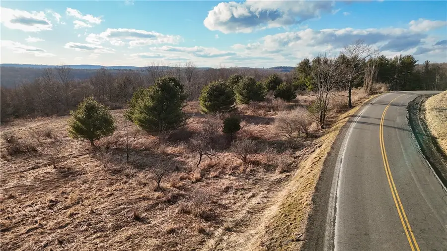 1015 Langford Creek Road, Van Etten, NY 14889 - #3