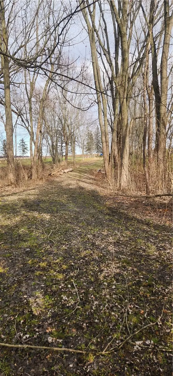 1985 Gloria Drive, Fairport, NY 14450 - #2