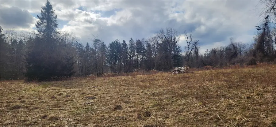 1985 Gloria Drive, Fairport, NY 14450 - #3