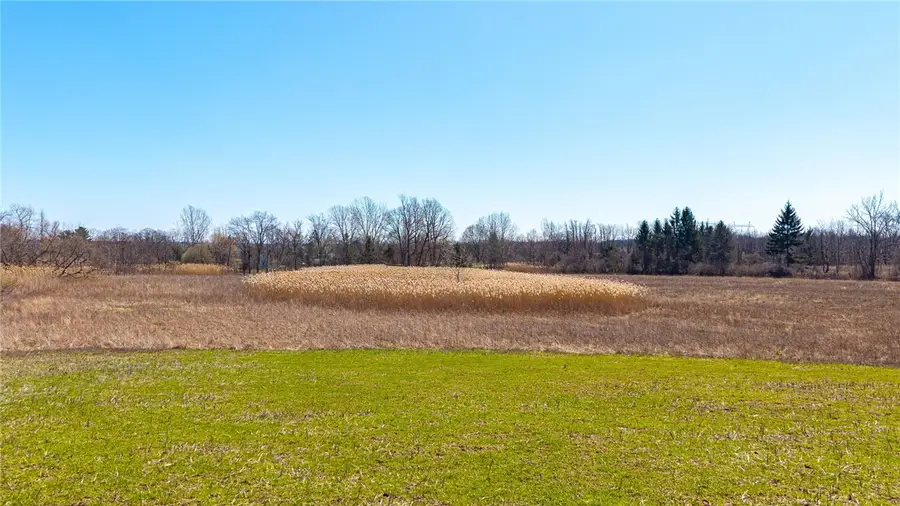 260 W Bloomfield Road, Pittsford, NY 14534 - #2