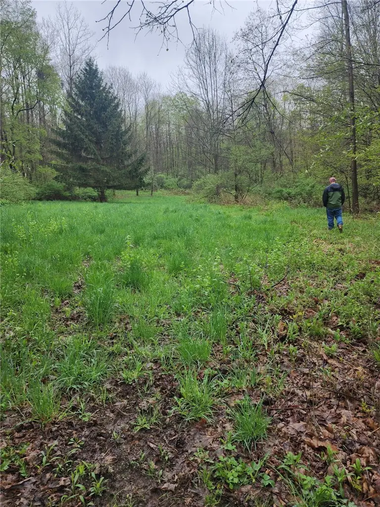 5200 County Road 33, Canandaigua, NY 14424 - #3