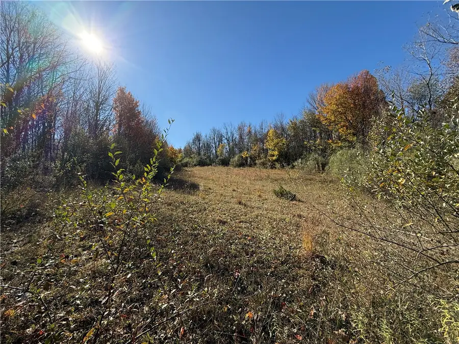 Willowdale Drive, Macedon, NY 14502 - #2