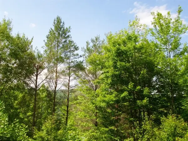 John B Hewitt Spur, Roxbury, NY 12421